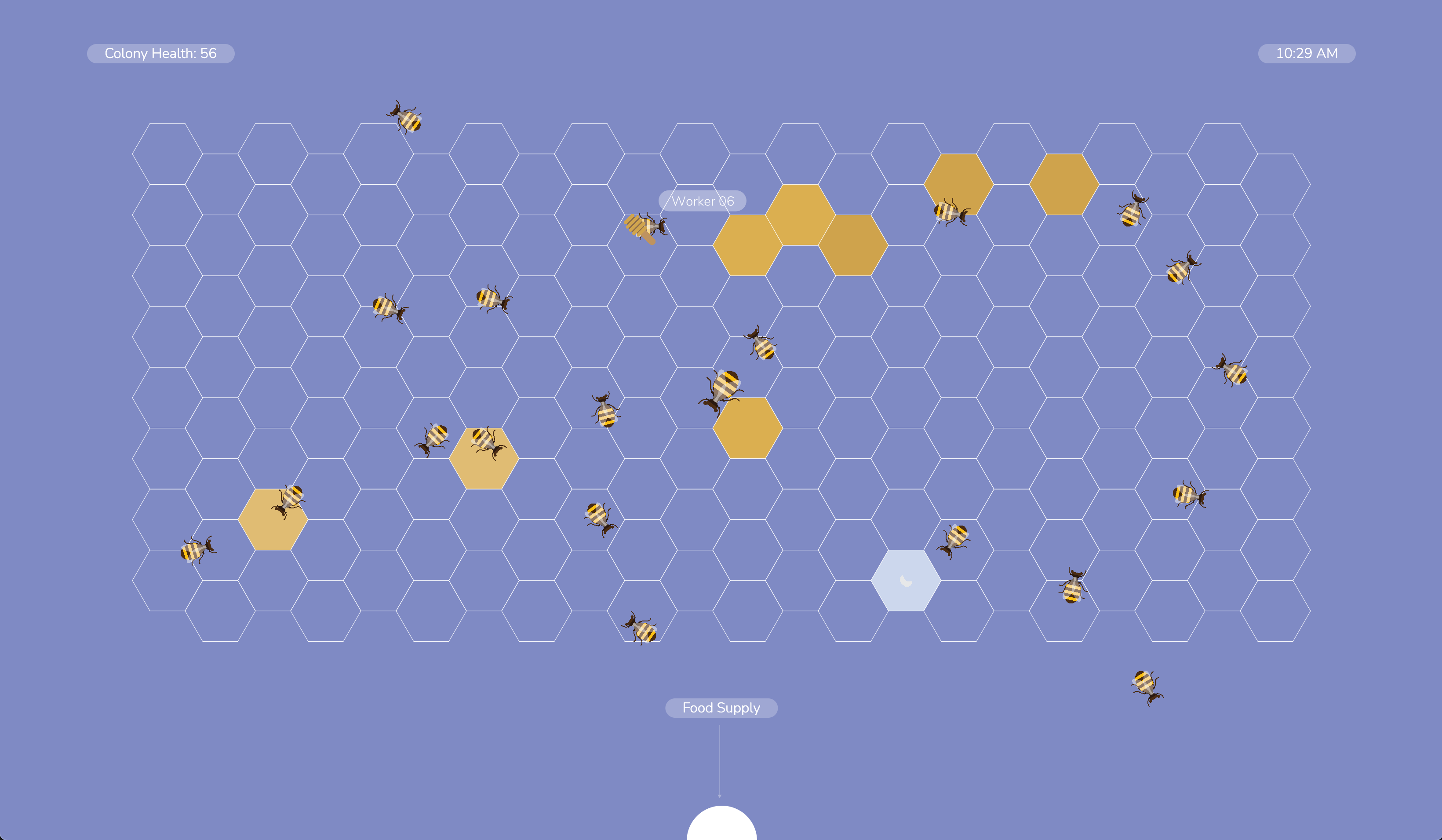 hive